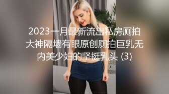 2023一月最新流出私房厕拍大神隔墙有眼原创厕拍巨乳无内美少妇的坚挺乳头 (3)