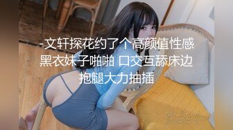 -文轩探花约了个高颜值性感黑衣妹子啪啪 口交互舔床边抱腿大力抽插