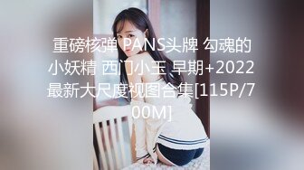 重磅核弹 PANS头牌 勾魂的小妖精 西门小玉 早期+2022最新大尺度视图合集[115P/700M]