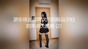 游乐场女厕两次拍到极品少妇的丰满大肥鲍 (2)