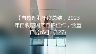 【自整理】年度总结，2023年自收藏国产自拍佳作，含重口【nV】 (327)