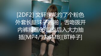 [2DF2] 文轩探花约了个粉色外套长腿妹子啪啪，舌吻拨开内裤摸逼69口交后入大力抽插[MP4/97.4MB][BT种子]