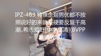 IPZ-463 特殊企划男优都不按照说好的来就是硬要反复干高潮..希志爱野[中字高清](BVPP無碼破解)