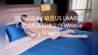 国产麻豆AV 麻豆US LAA0025 公路艳遇纵情交合 Whitney Wright