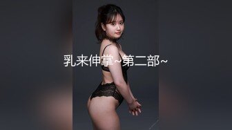 乳来伸掌~第二部~