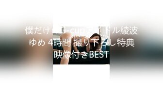 僕だけのG-cupアイドル綾波ゆめ 4時間 撮り下ろし特典映像付きBEST