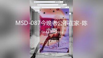 MSD-087今晚老公不在家-陈小雨