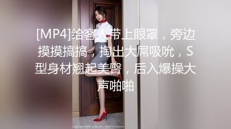 [MP4]给客人带上眼罩，旁边摸摸搞搞，掏出大屌吸吮，S型身材翘起美臀，后入爆操大声啪啪