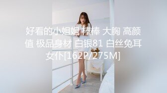 好看的小姐姐 棒棒 大胸 高颜值 极品身材 白银81 白丝兔耳女仆[162P/275M]