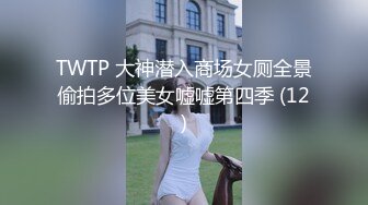 TWTP 大神潜入商场女厕全景偷拍多位美女嘘嘘第四季 (12)