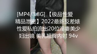 [MP4/3.8G] 【极品性爱❤️精品泄密】2022最新反差婊 性爱私拍流出20位淫妻美少妇出镜 美乳翘臀内射 94v