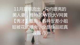 11月震撼流出，只约漂亮的美人妻，推特20W粉大V网黄【秀才】最新，各种反差小姐姐被花式爆肏，全是极品妞真羡慕 (3)