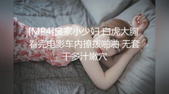 [MP4]良家小少妇 白虎大胸 看完电影车内撩拨啪啪 无套干多汁嫩穴