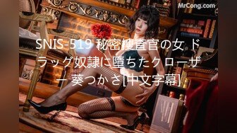 SNIS-519 秘密捜査官の女 ドラッグ奴隷に墮ちたクローザー 葵つかさ[中文字幕]