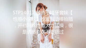 STP14017 颜值不错牙套妹【性感小学妹】沙发振动棒抽插，开裆网袜抬腿大力猛操，很是诱惑喜欢不要错过